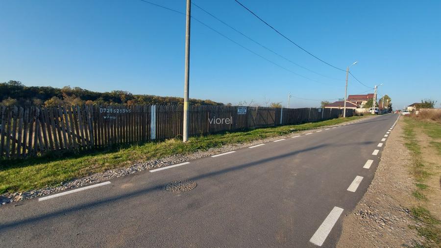 Peisaj de vis pe malul lacului Pasarea Branesti 10 min Bucuresti vand sau schimb - 5