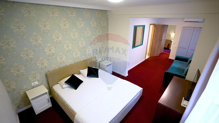 Hotel 12 camere si Cantina / Restaurant Calea Calarasilor Bucuresti - 14