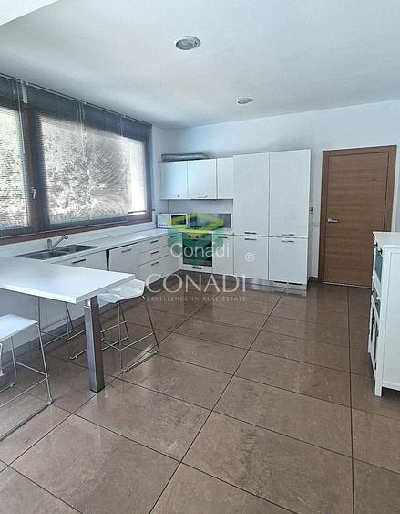 Iancu Nicolae, vila de inchiriat, 5 camere - 5