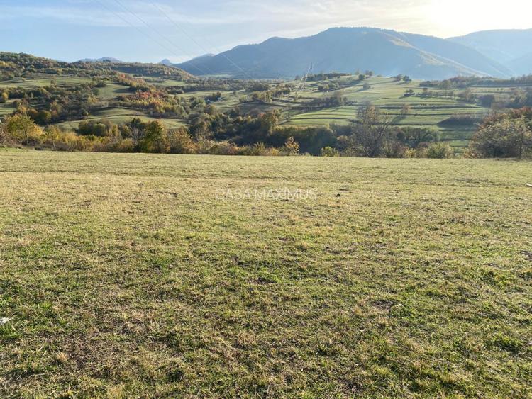 O oportunitate care îți atinge sufletul: Teren de vis la ieșirea din Rășinari - 2