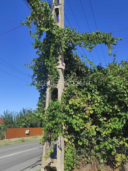 Vânzare Teren Intravilan 2.001 mp. cu utilități ~ Isaccea ~ Centru - 4