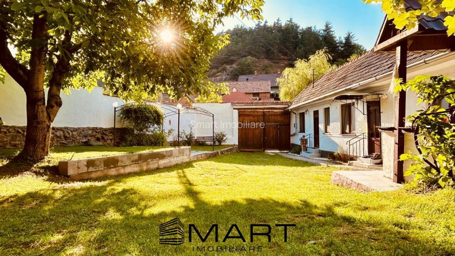 Casa individuala cu gradina si curte sat Talmacel - 3