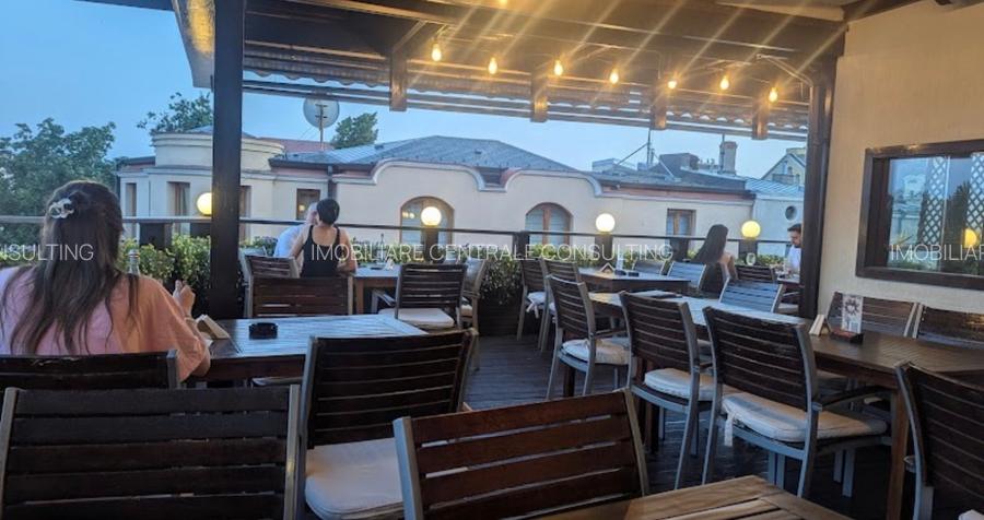 Cismigiu, prieliste superba,  vila consolidata si renovata total. - 9