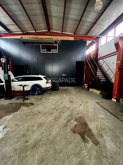 Hala Industriala, zona Ina Schaeffler , 530 mp utili - 12