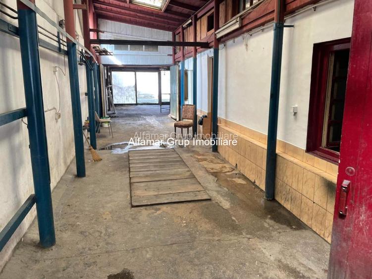 Vanzare Teren Soseaua Giurgiului- Luica - 5