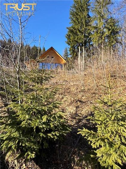 Cabana Zona Belis l 1500 MP l P+M l Alba - 26