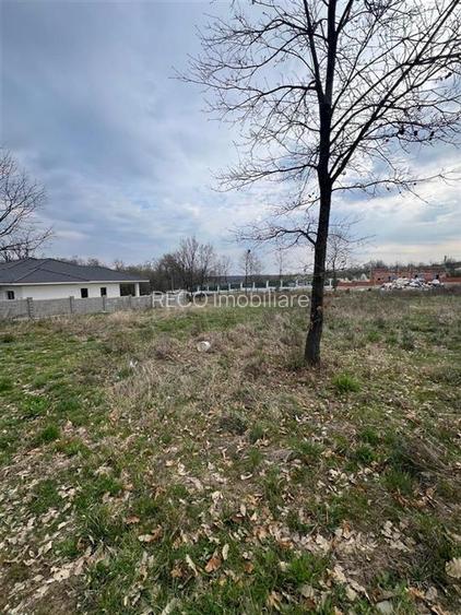 RECO Teren Saldabagiu de Munte - 2