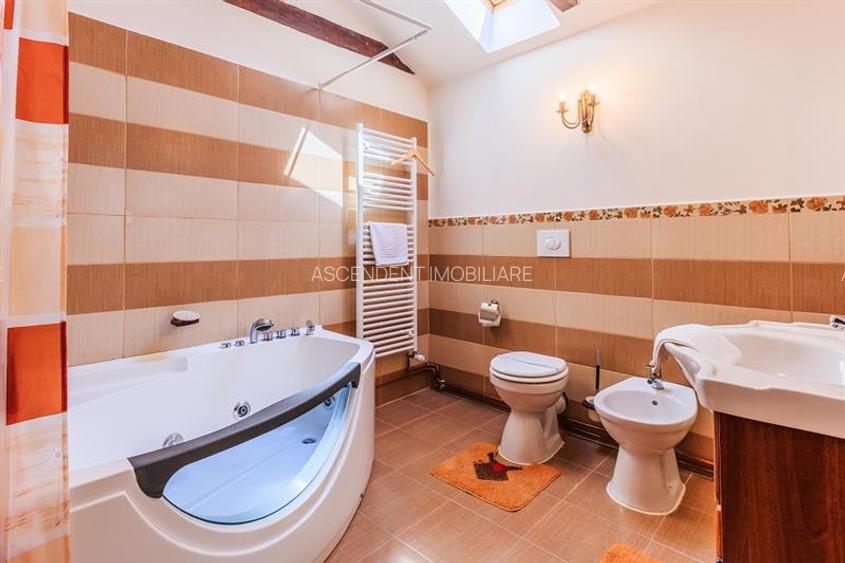 Hotel Bielmann,unicitate si profitabilitate optima in turism,Sanpetru, Brasov - 30