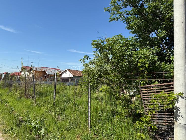 Teren intravilan,Teghes,Domnesti,strada Caminului - 3