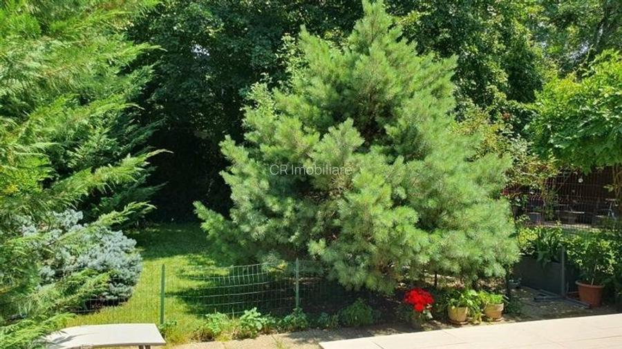 Vanzare vila 5 camere Baneasa - 6