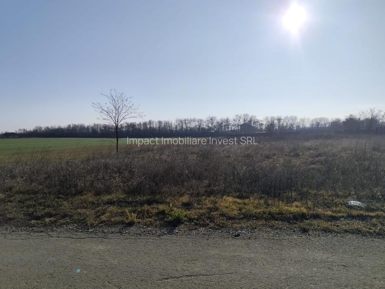 Gradistea/Zona padure - 6