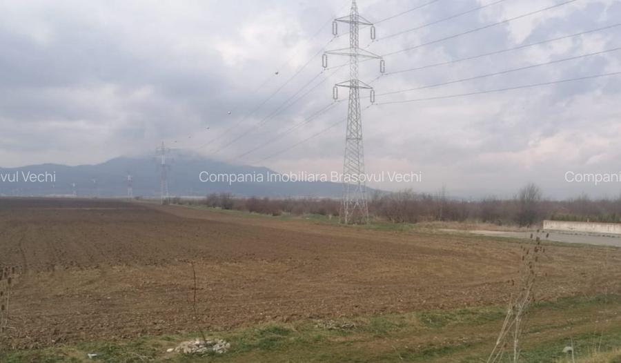 Ghimbav, teren intravilan pentru complex rezidential. - 3