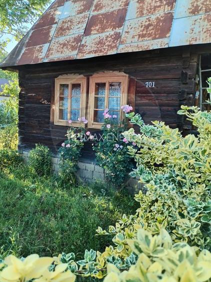 Casa traditionala si teren in s.f de 679 mp, Vadu Izei - 4