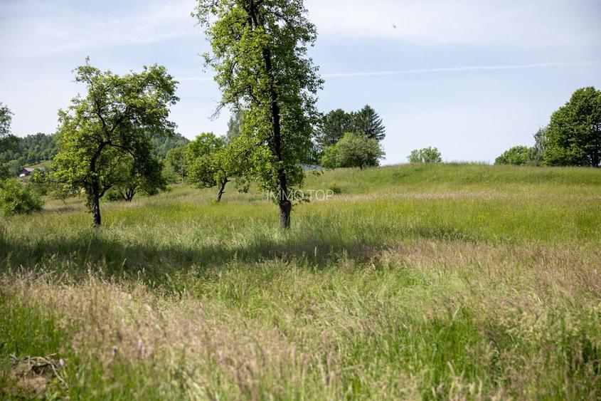 Teren intravilan - 1.050 mp în Bran cu utilitati – priveliște Bucegi - 8