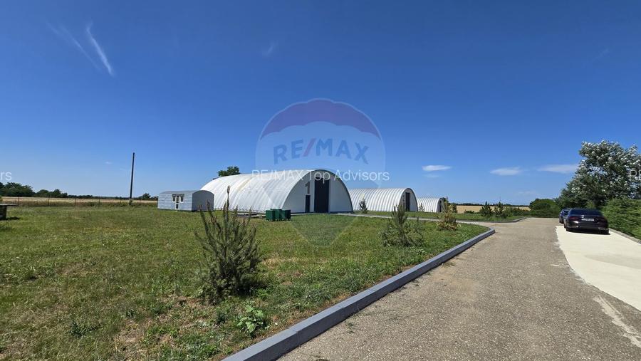 DE VANZARE | Hale | 1407mp | Teren 9344 | Potigrafu - 7