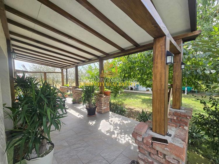 De vanare - Casa Dragomiresti Vale - 4