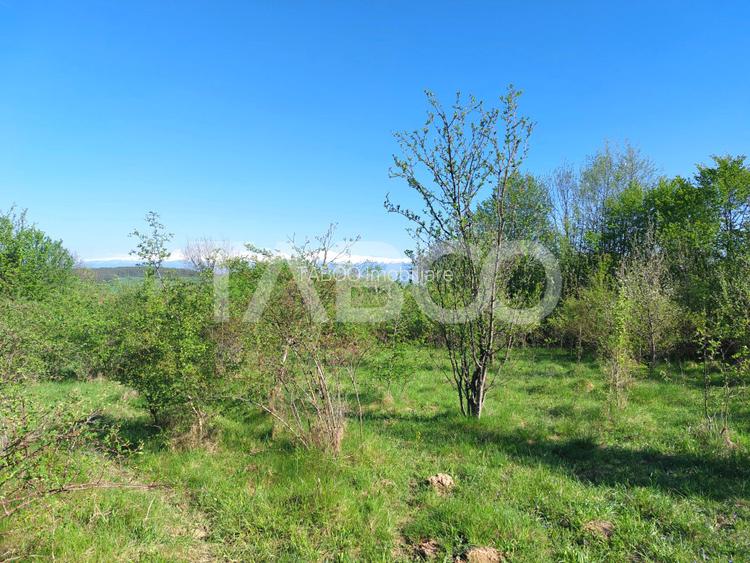 Teren intravilan 4280 mp acces la drum si utilitati zona deosebita - 6