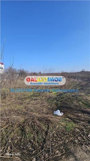 Teren 1 Decembrie VI 011 - 11