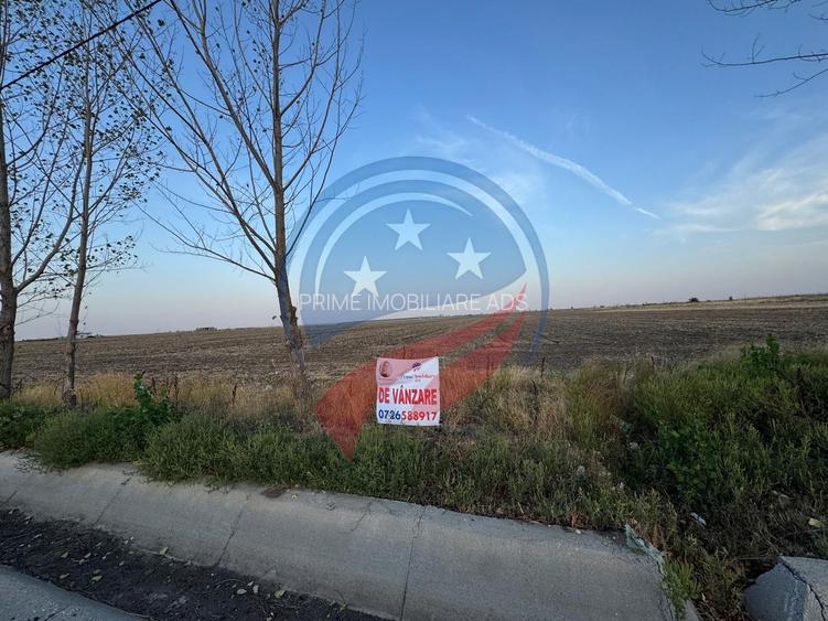 Teren generos, situat pe drum asfaltat între Craiova și Pielești - 3