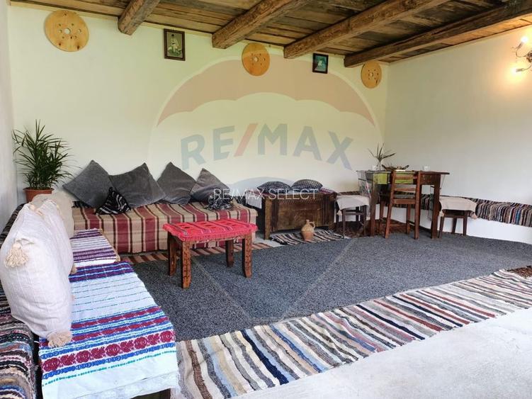 Vânzare casa la munte - zona turistica - Baia de Fier - 20