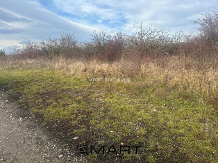 Teren Intravilan 1105 mp Sanpetru - 3