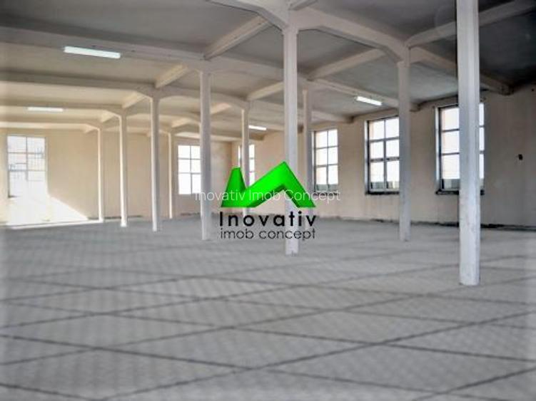 Hale de inchiriat depozitare productie Sibiu Cisnadie - 6