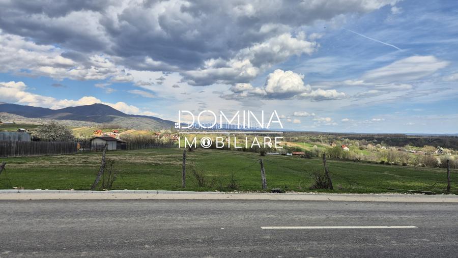 Vânzare teren 2500 mp - Runcu - Sat Valea Mare - liniște, natură, utilități - 5