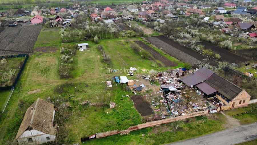 Teren intravilan 3.593 mp de vânzare în Parța - 6
