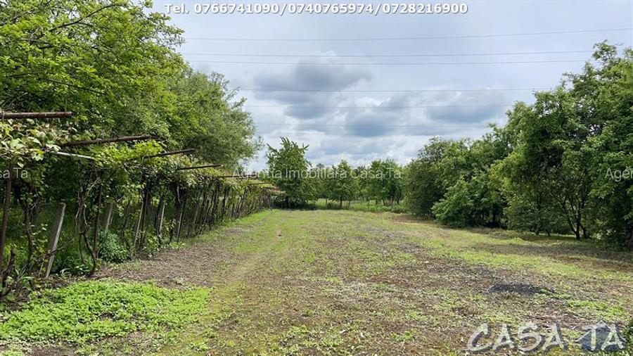 Casa 4 Camere + Teren (6500mp) si Anexe, Turcinesti - 7