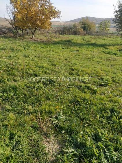 Nicolae Balcescu - Tulcea, teren cu deschidere 27 ml la drum national - 2