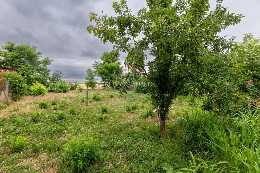 Casă cu 3 camere de vânzare, renovată la gri, teren 2100m Variașu Mare - 12