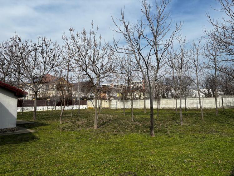 Casa parter cu terasa generoasa, teren 1267 mp,  Preajba-zona Damila - 14