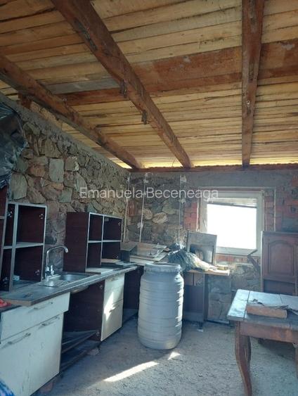 Casa Goruia cu teren,gradina,livada de pruni si pădure  - 5