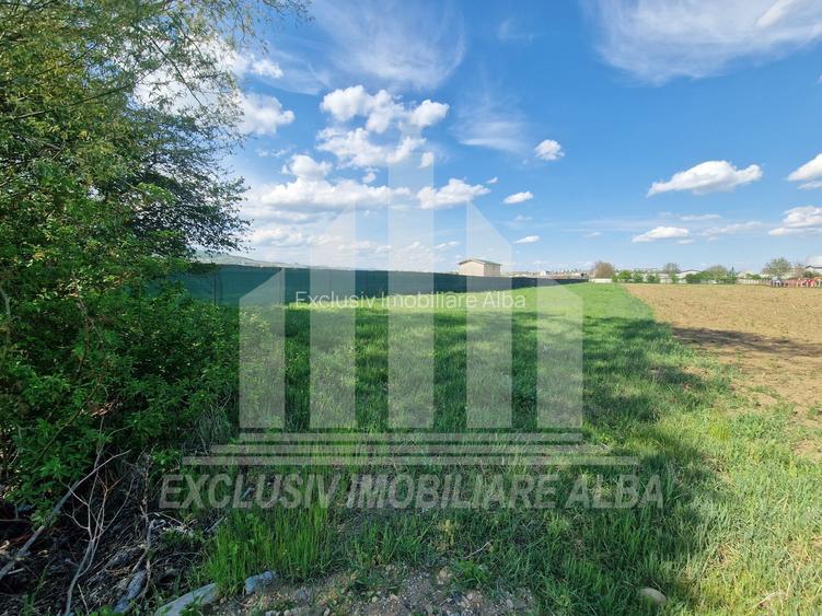 Teren extravilan | De vanzare | 2600 mp | 13.7 ml deschidere | Partos - 3