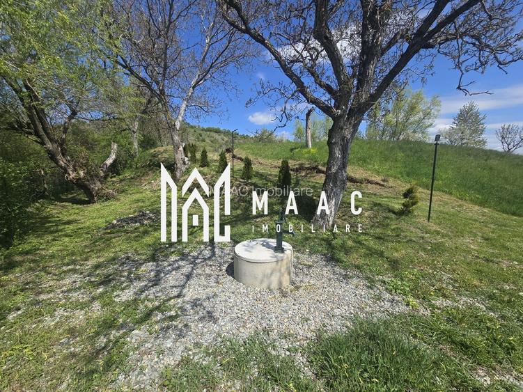 Teren 5400 mp superb cu livada si vedere spre munti Orlat - 3