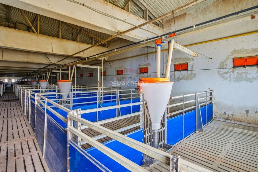 POZIȚIE STRATEGICĂ cu Potențial Major de Exploatare și Reconversie - 29