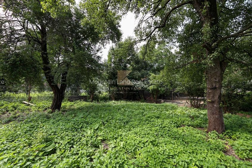 Casă renovată, teren 394 mp – Râșnov, str. Misu Popp, zonă centrală - 20