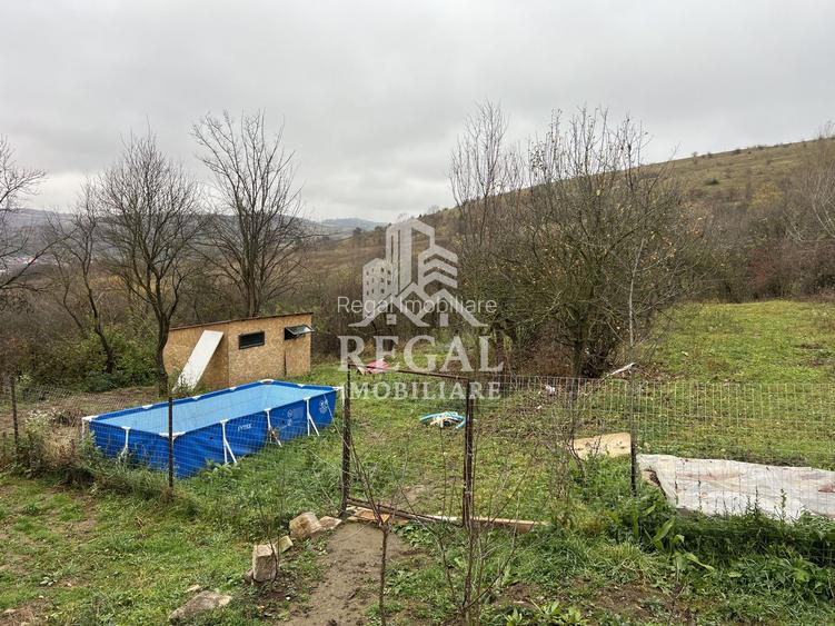 Două case individuale de vânzare în Teliuc –ideale pentru două familii - 19