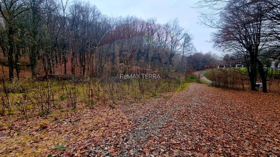 Apa Sarata Teren de vanzare cu deschidere la padure - 2