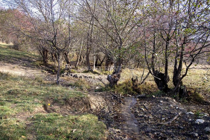 Teren intravilan 5723mp Zarnesti Tohanita- case de vacanta,investitie in turism - 19