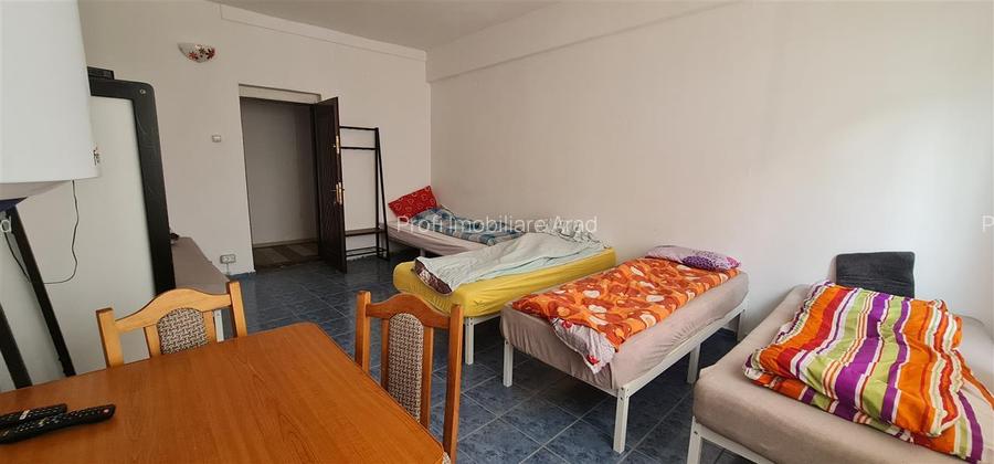 Cazare muncitori garsoniere/apartamente la curte in Vladimirescu - 20