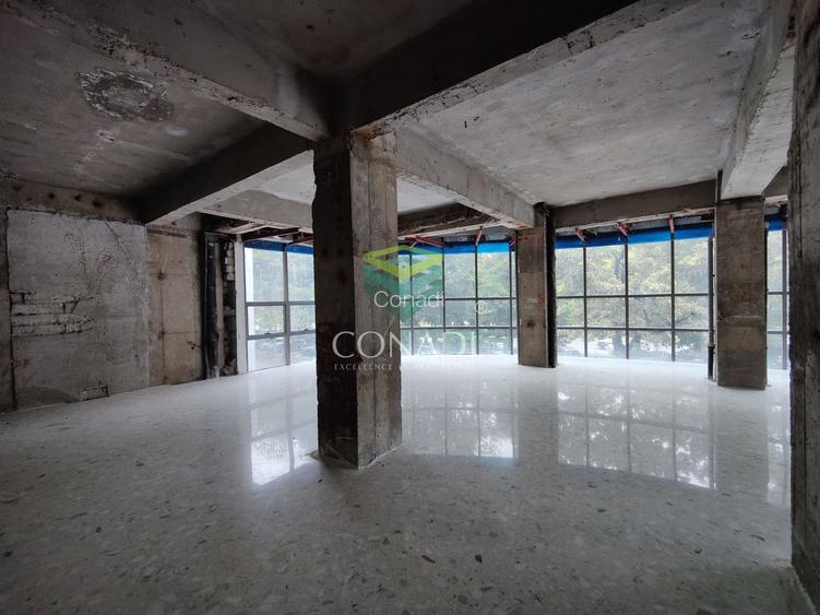 Spatiu de showroom si birouri Bd. Unirii colt Lucian Blaga - 25