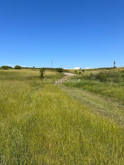 Teren extravilan 54.500 mp, lângă pădure, între Lovnic – Văleni - 5