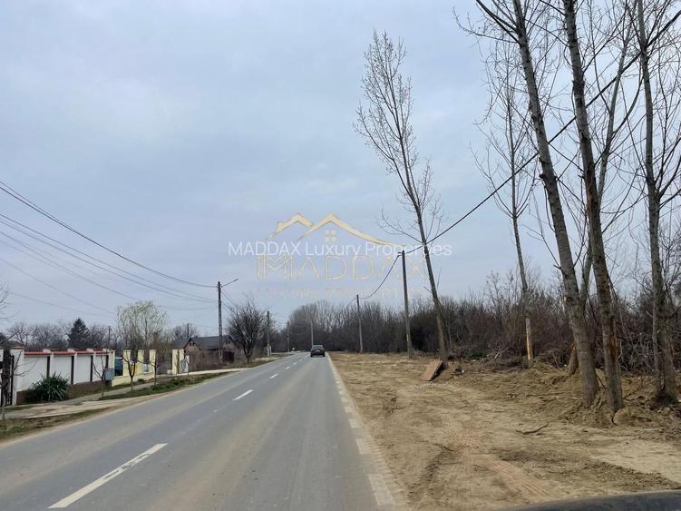 Teren INTRAVILAN***4128 mp// Silistea SNAGOVULUI - 3