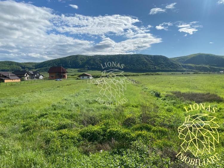 Teren intravilan-Crainimat -3000mp-ideal investitie construire casa - 3