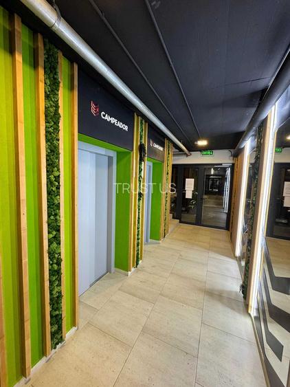 Proprietar Vand ap 2 camere Campeador Torontalului - 8