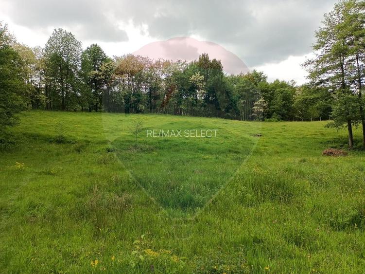 Vânzare casa la munte - zona turistica - Baia de Fier - 27