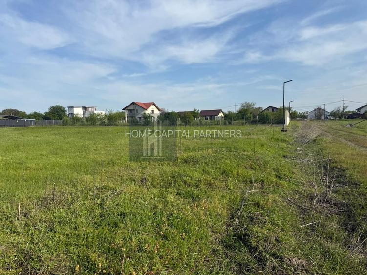 Teren intravilan 953 mp – comuna Tunari, sat Dimieni | judetul Ilfov - 3