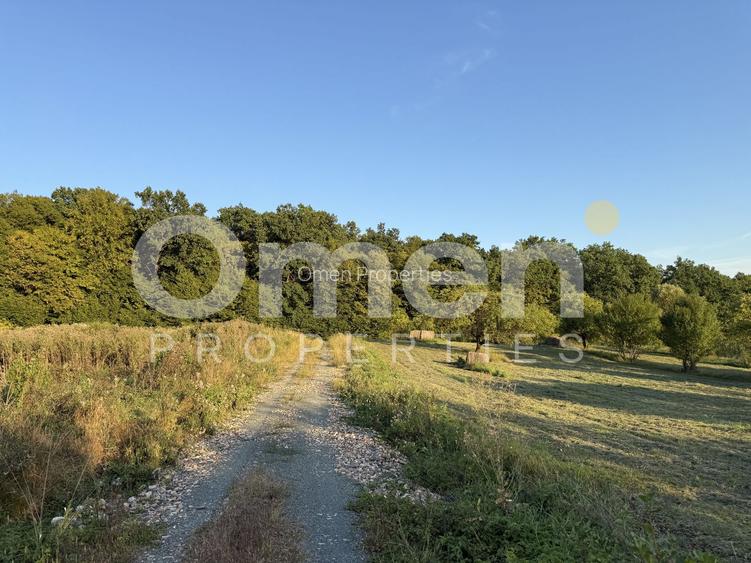 Teren intravilan de vânzare 7.000 mp – Groși, spre Dumbrăvița - 2