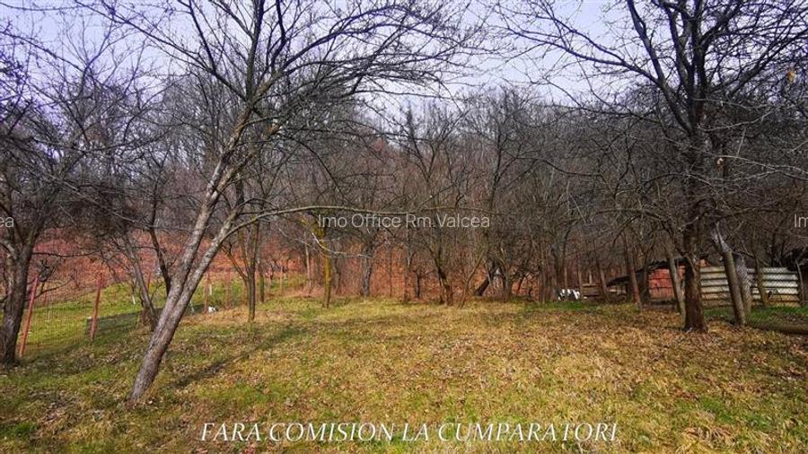 STIRBEI - VODA, CASA CU TEREN 2000 MP - 11